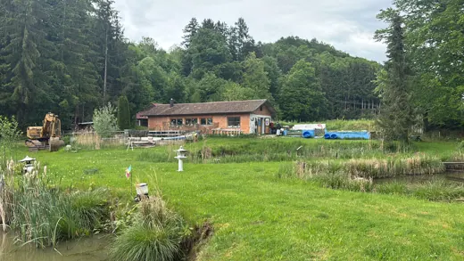 Weitläufige Außenanlage rund um das Koi-Haus