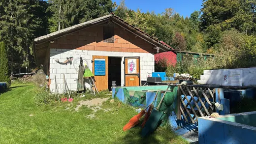 Gebäude und Außenanlage der Koifarm Krumbach