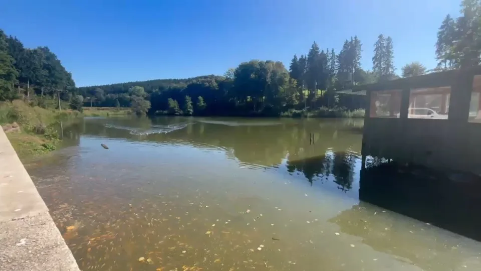 Blick über die Teiche – Video von der Koifarm Krumbach