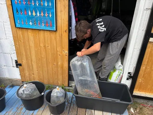 Einblick in die Menschen und die Arbeit rund um die Koifarm