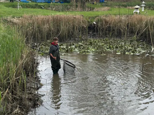 Einblick in die Menschen und die Arbeit rund um die Koifarm