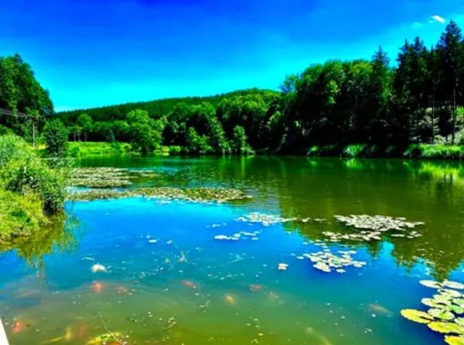 Wasser, Ufer und Natur rund um die Koifarm Krumbach