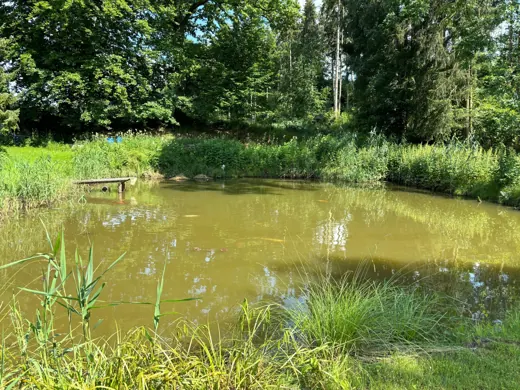 Wasser, Ufer und Natur rund um die Koifarm Krumbach
