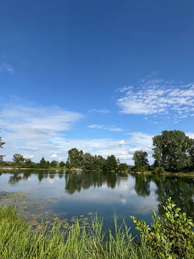 Blick über einen Naturteich unter blauem Himmel