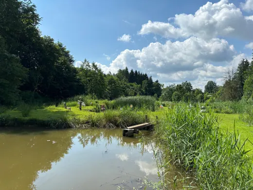 Wasser, Ufer und Natur rund um die Koifarm Krumbach