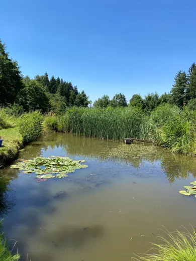 Wasser, Ufer und Natur rund um die Koifarm Krumbach