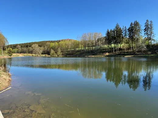 Wasser, Ufer und Natur rund um die Koifarm Krumbach