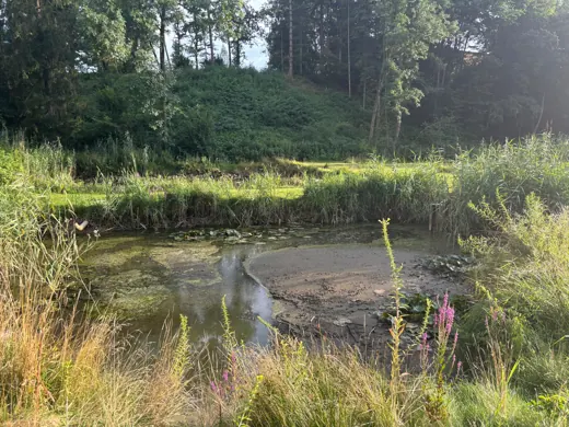 Wasser, Ufer und Natur rund um die Koifarm Krumbach