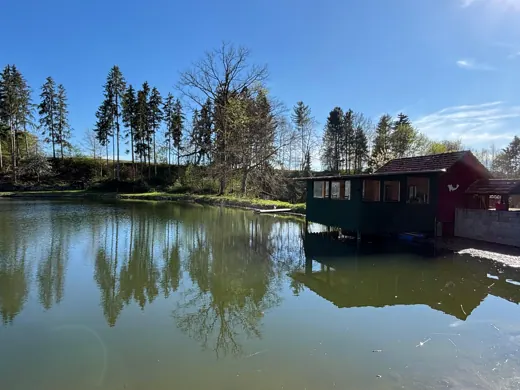 Wasser, Ufer und Natur rund um die Koifarm Krumbach
