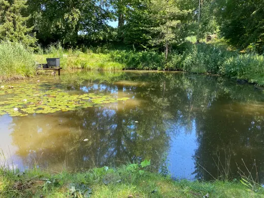 Wasser, Ufer und Natur rund um die Koifarm Krumbach
