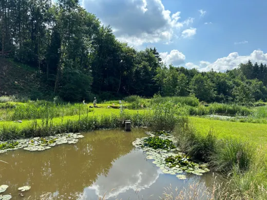 Wasser, Ufer und Natur rund um die Koifarm Krumbach