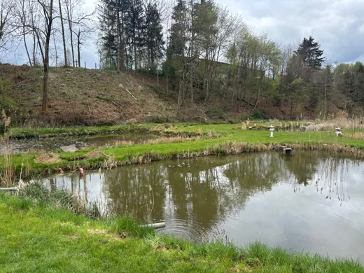 Wasser, Ufer und Natur rund um die Koifarm Krumbach