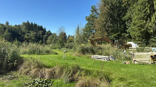 Wasser, Ufer und Natur rund um die Koifarm Krumbach