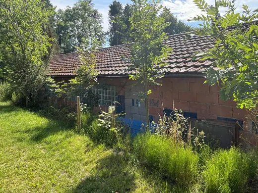 Wasser, Ufer und Natur rund um die Koifarm Krumbach