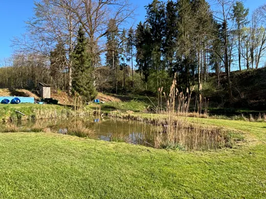 Wasser, Ufer und Natur rund um die Koifarm Krumbach
