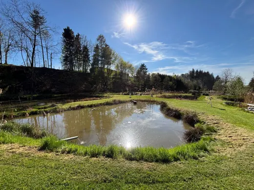 Wasser, Ufer und Natur rund um die Koifarm Krumbach