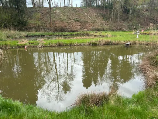 Wasser, Ufer und Natur rund um die Koifarm Krumbach