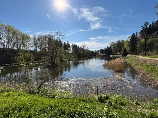 Wasser, Ufer und Natur rund um die Koifarm Krumbach