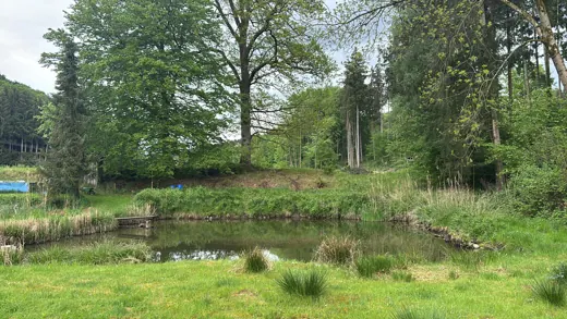 Wasser, Ufer und Natur rund um die Koifarm Krumbach