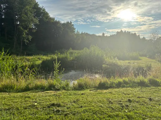 Abendlicht über der Teichanlage