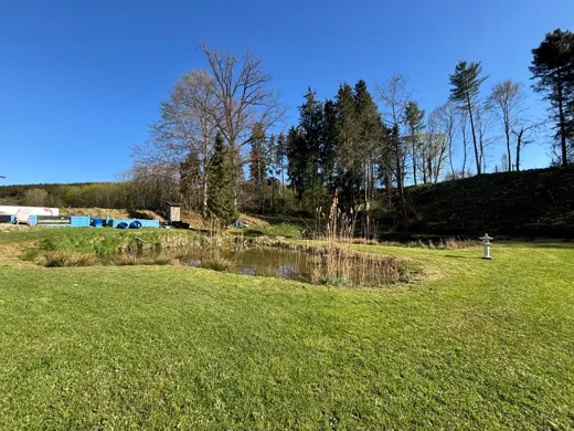 Wasser, Ufer und Natur rund um die Koifarm Krumbach