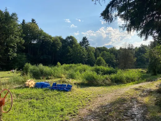 Wasser, Ufer und Natur rund um die Koifarm Krumbach