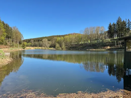 Großer Naturweiher im Sonnenlicht