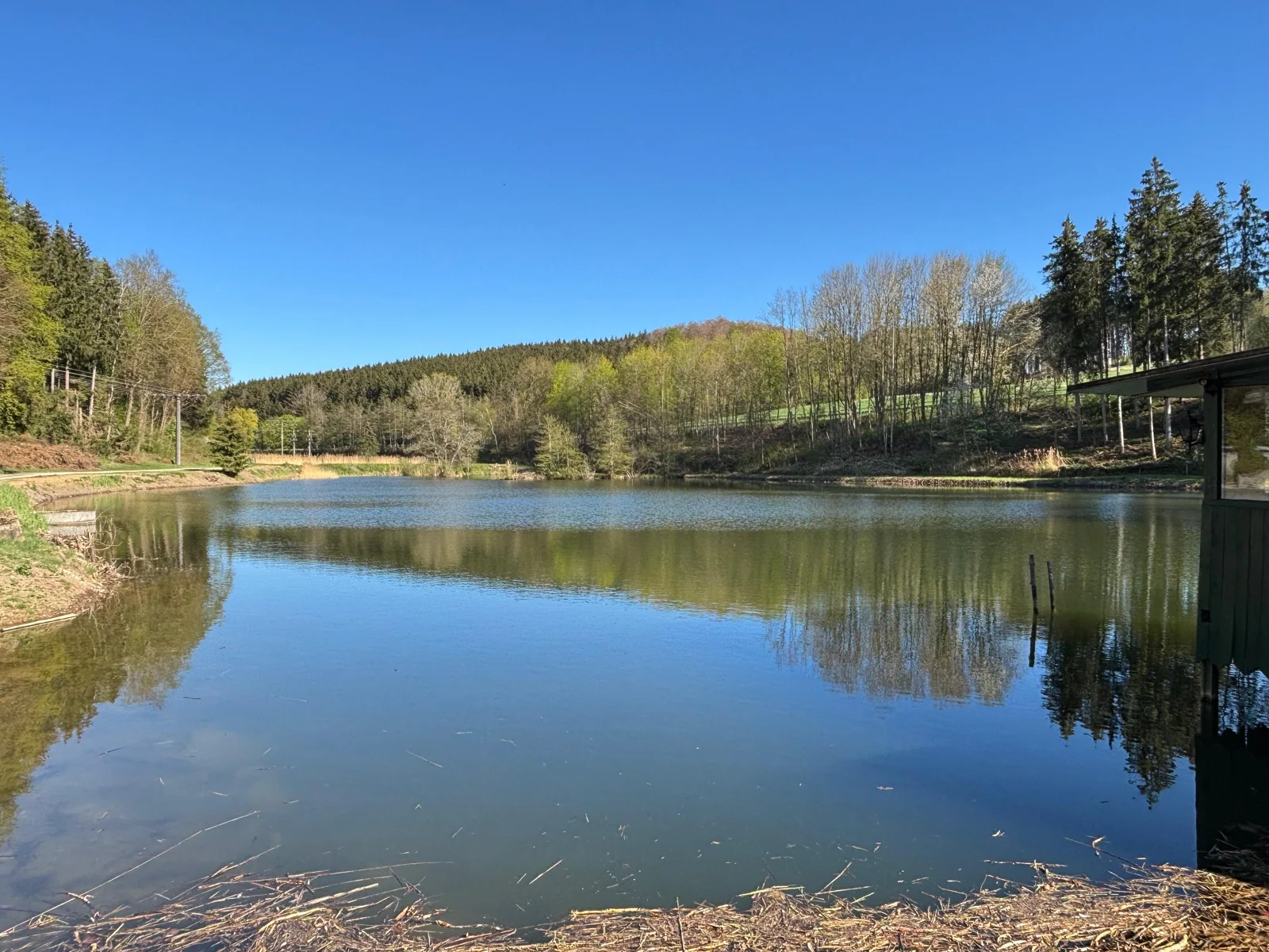 Großer Naturweiher im Sonnenlicht