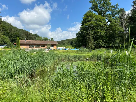 Wasser, Ufer und Natur rund um die Koifarm Krumbach