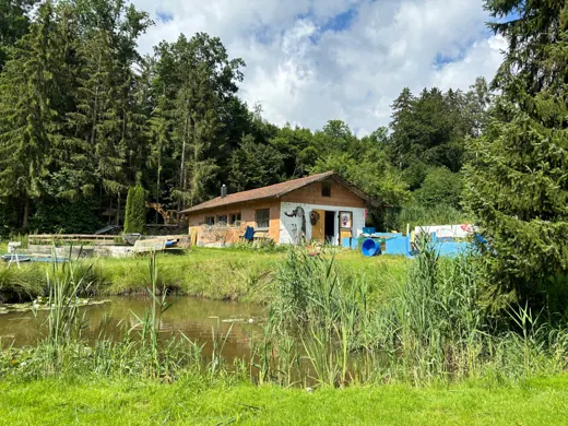 Koi-Haus hinter Schilf und Naturteich