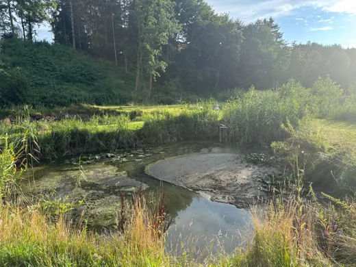 Wasser, Ufer und Natur rund um die Koifarm Krumbach