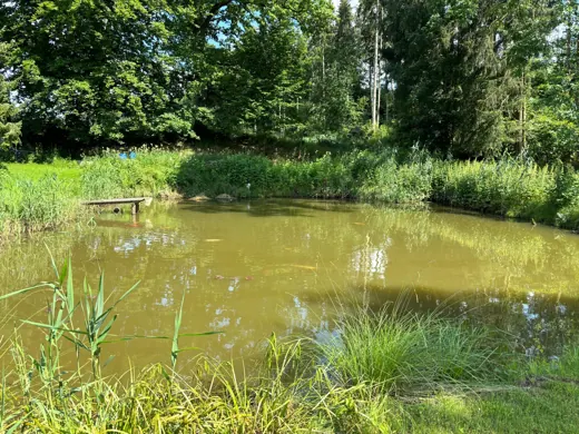 Wasser, Ufer und Natur rund um die Koifarm Krumbach