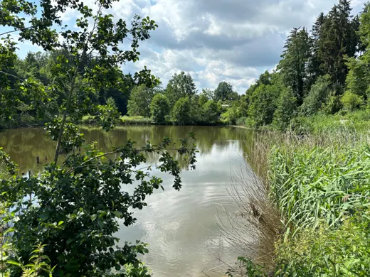 Wasser, Ufer und Natur rund um die Koifarm Krumbach