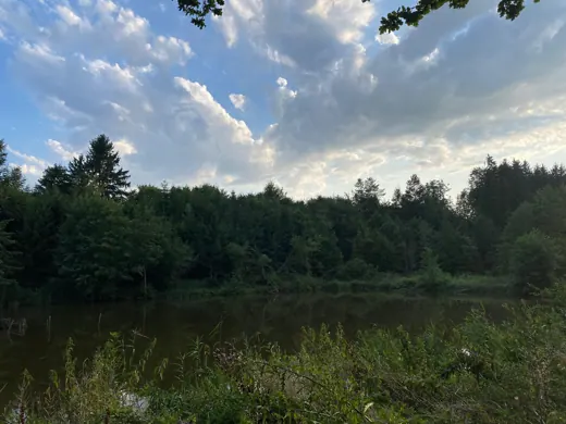 Wasser, Ufer und Natur rund um die Koifarm Krumbach