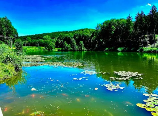 Wasser, Ufer und Natur rund um die Koifarm Krumbach