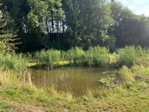 Wasser, Ufer und Natur rund um die Koifarm Krumbach