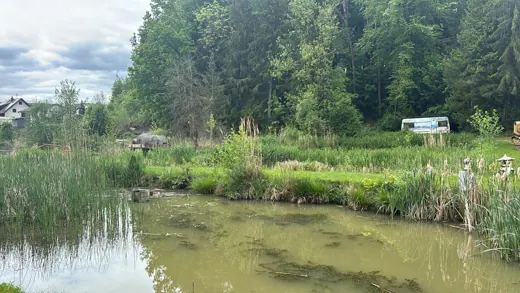 Wasser, Ufer und Natur rund um die Koifarm Krumbach